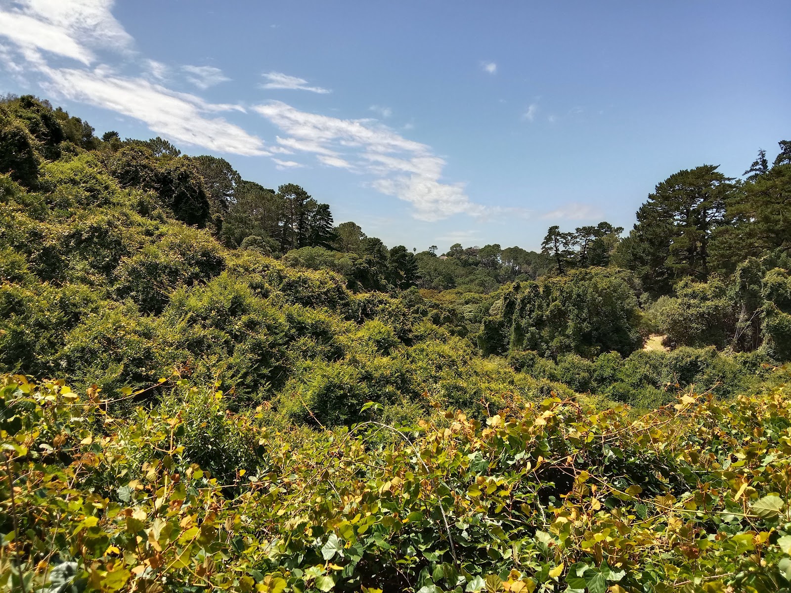 De Hel Nature Area