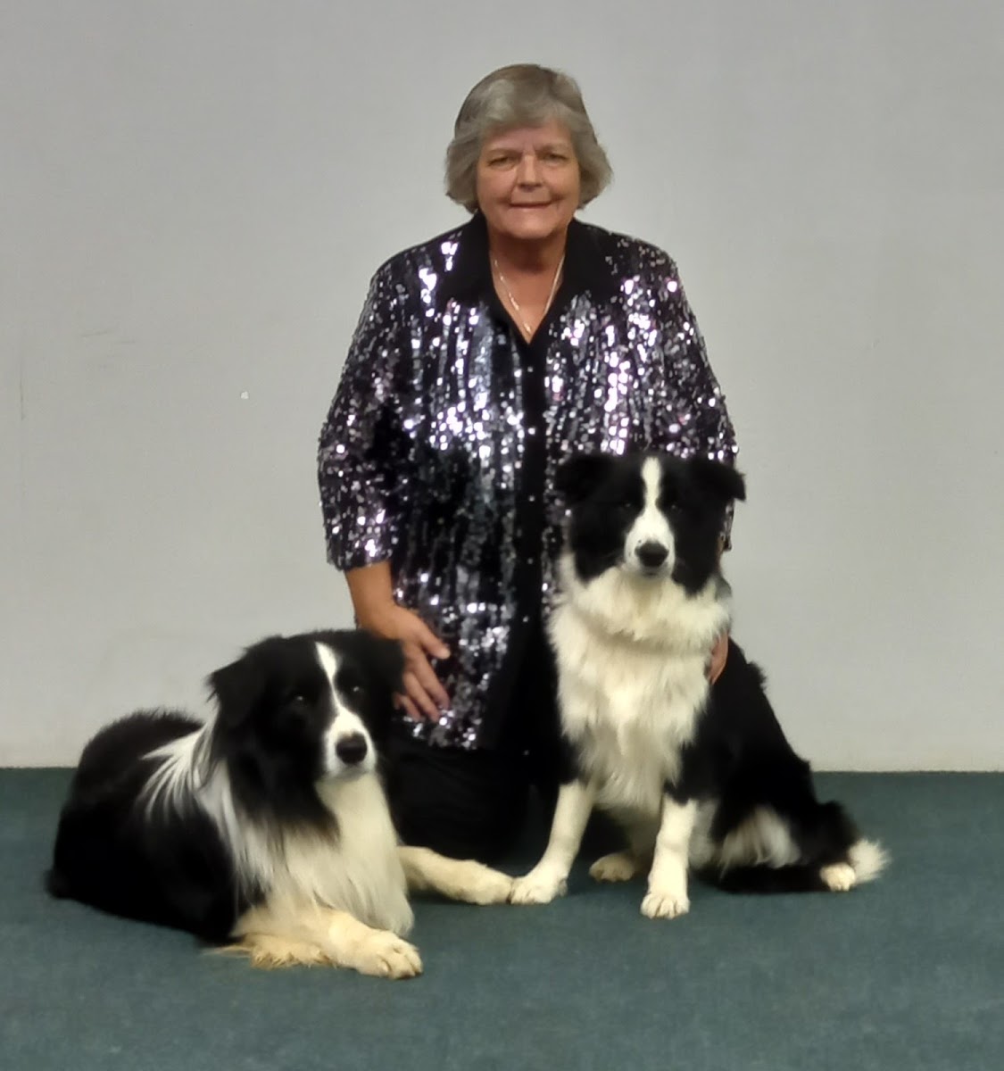 KC Dog School — photo 2