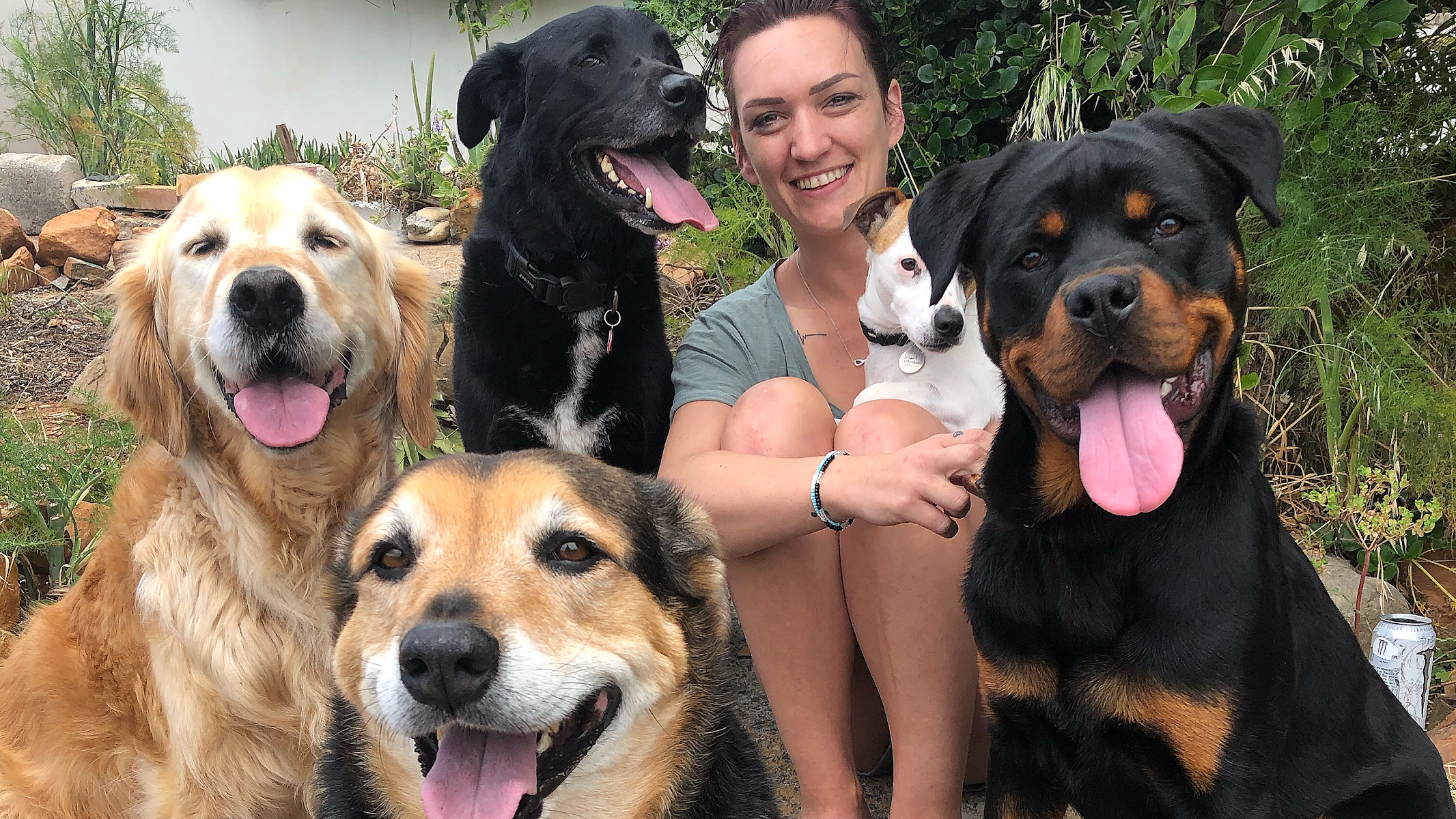 Dog trainer - Ojgoldenretriever