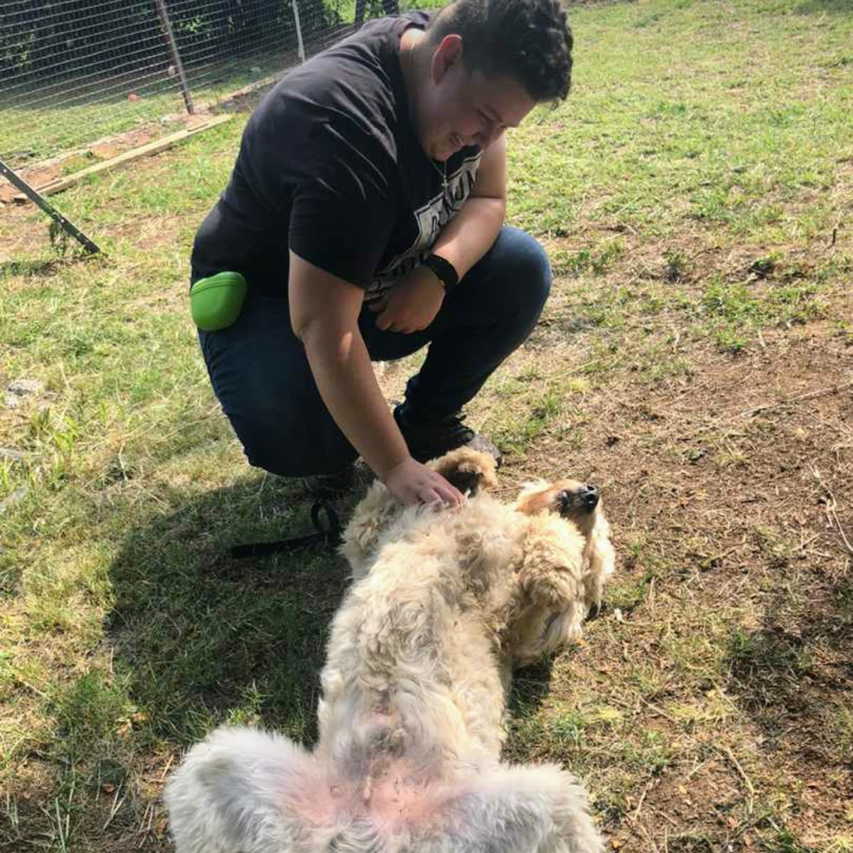 Paw and Order Dog Training Academy