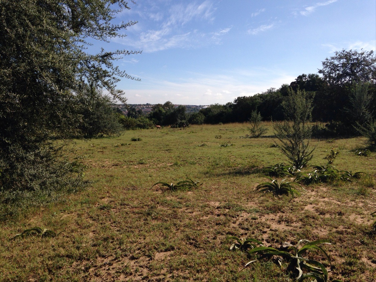 Norscot Koppies Nature Reserve