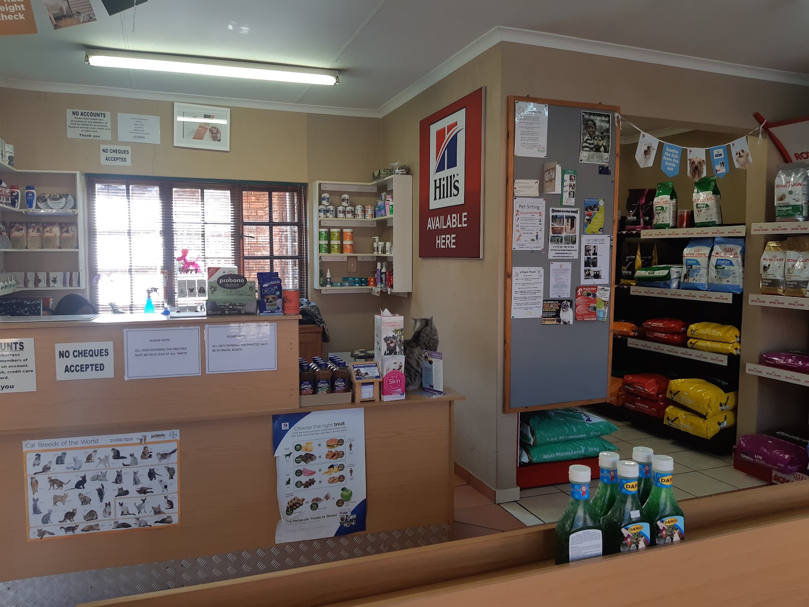 Birchvet Animal hospital