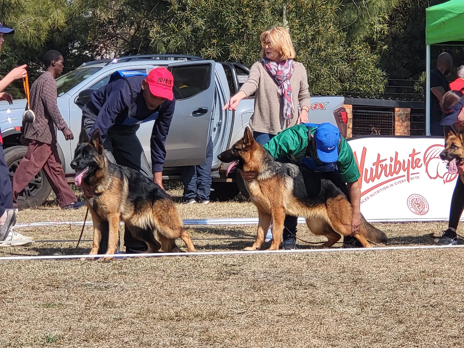 Ledeck German Shepherd Dogs. Breeding since 1982