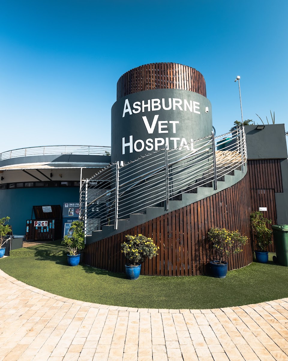 Ashburne Veterinary Hospital