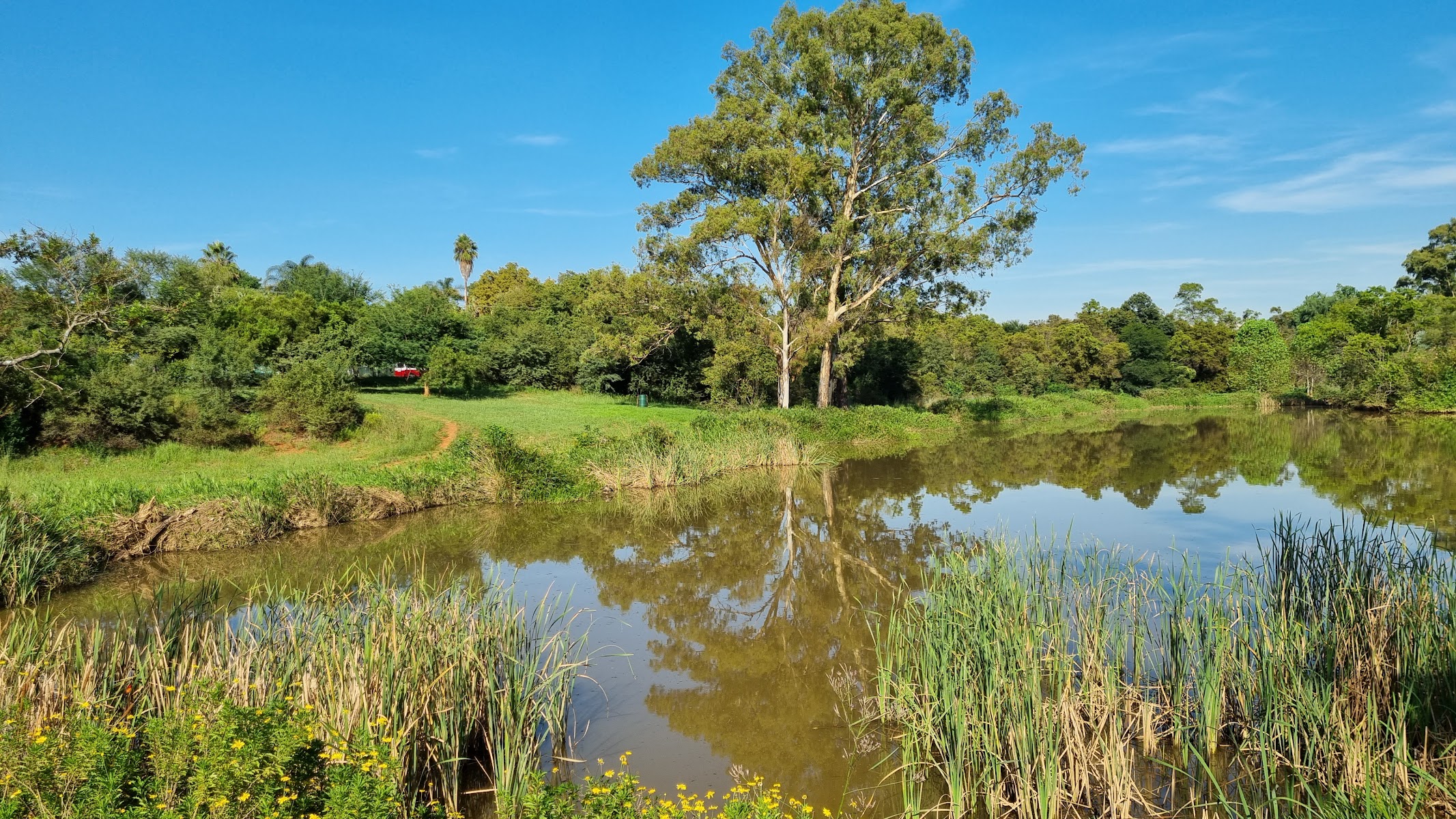 Struben Dam Bird Sanctuary