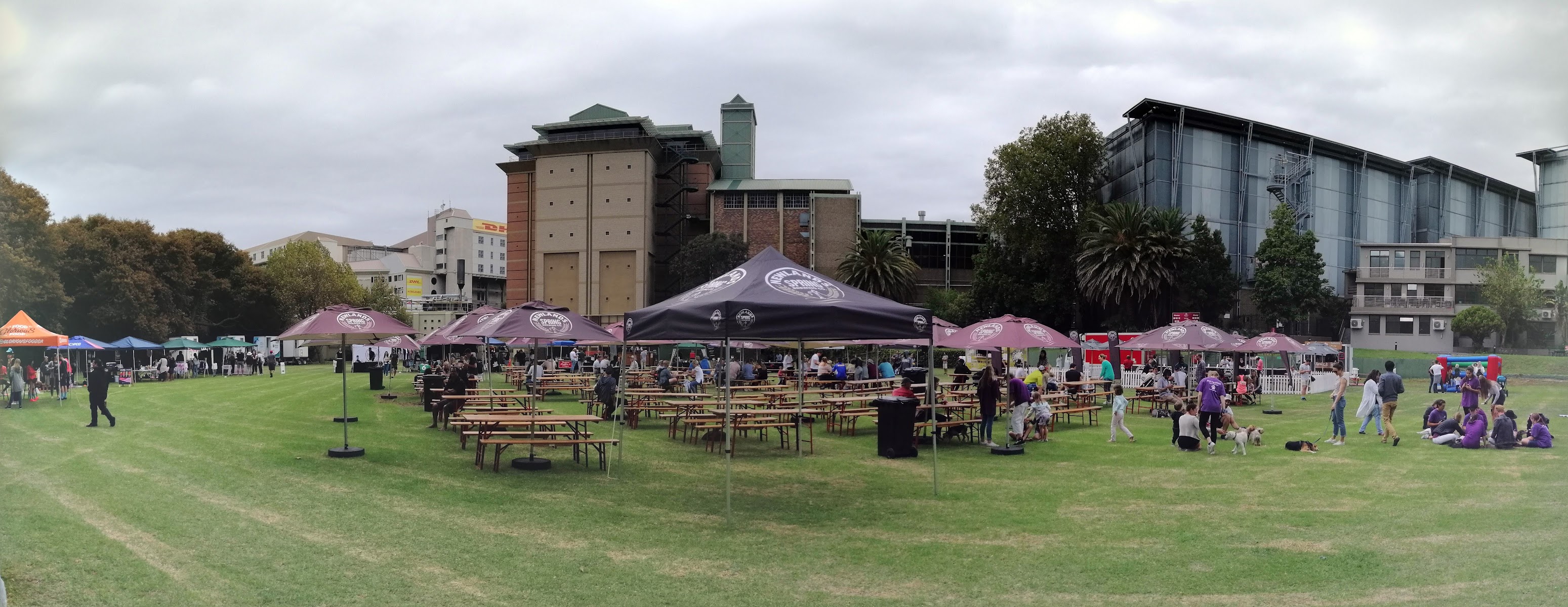 The Newlands Spring Market