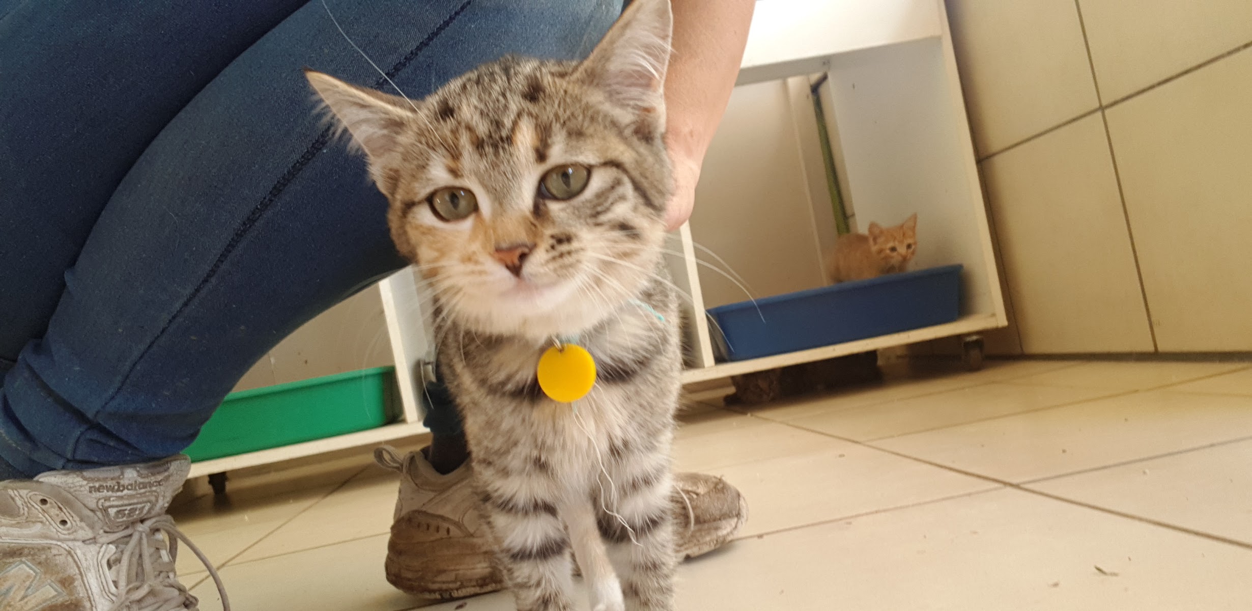 New Beginnings Rescue Centre