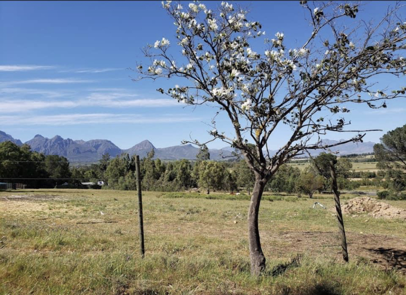 SHEKINAH LODGE