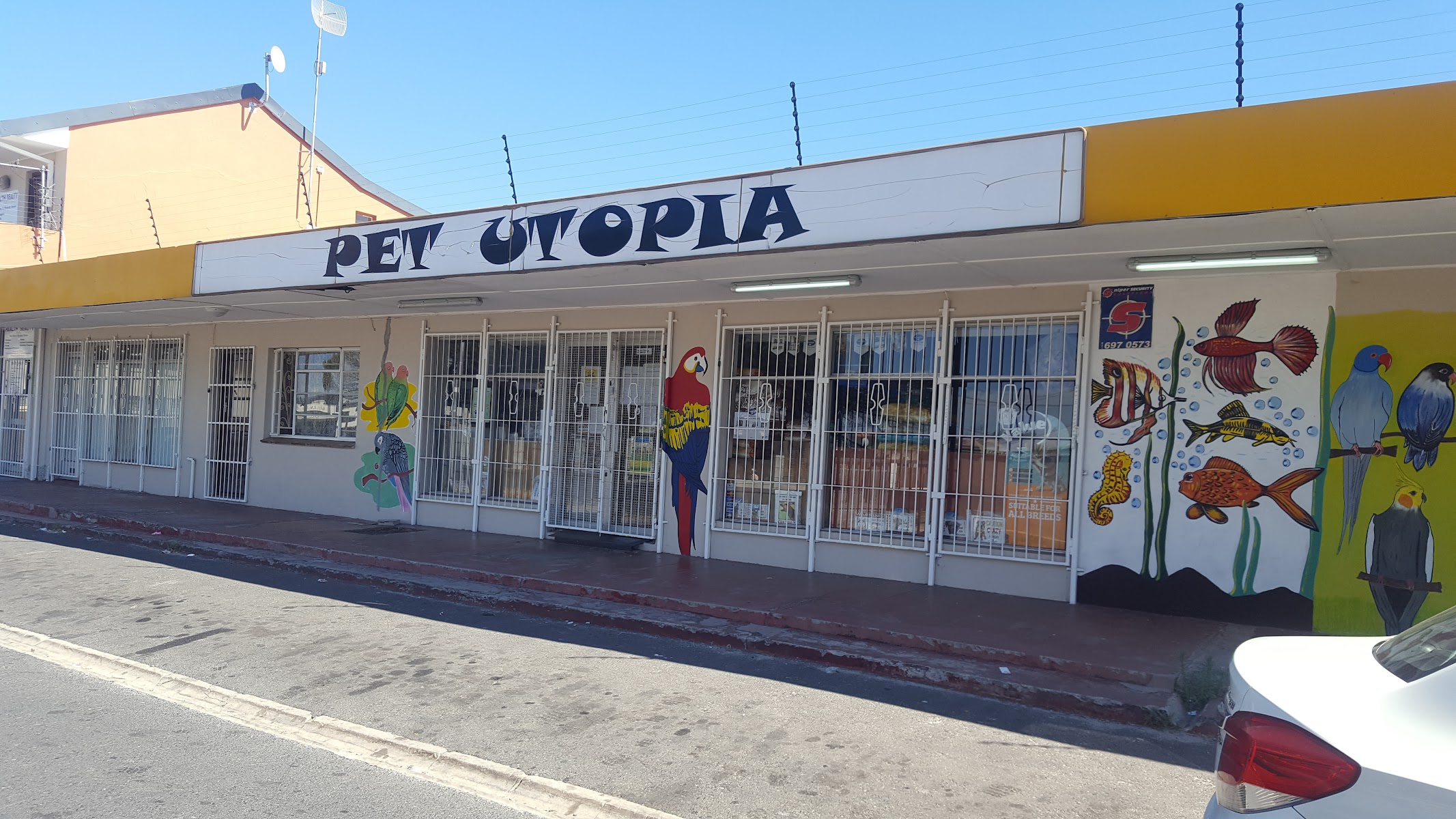 Pet Utopia