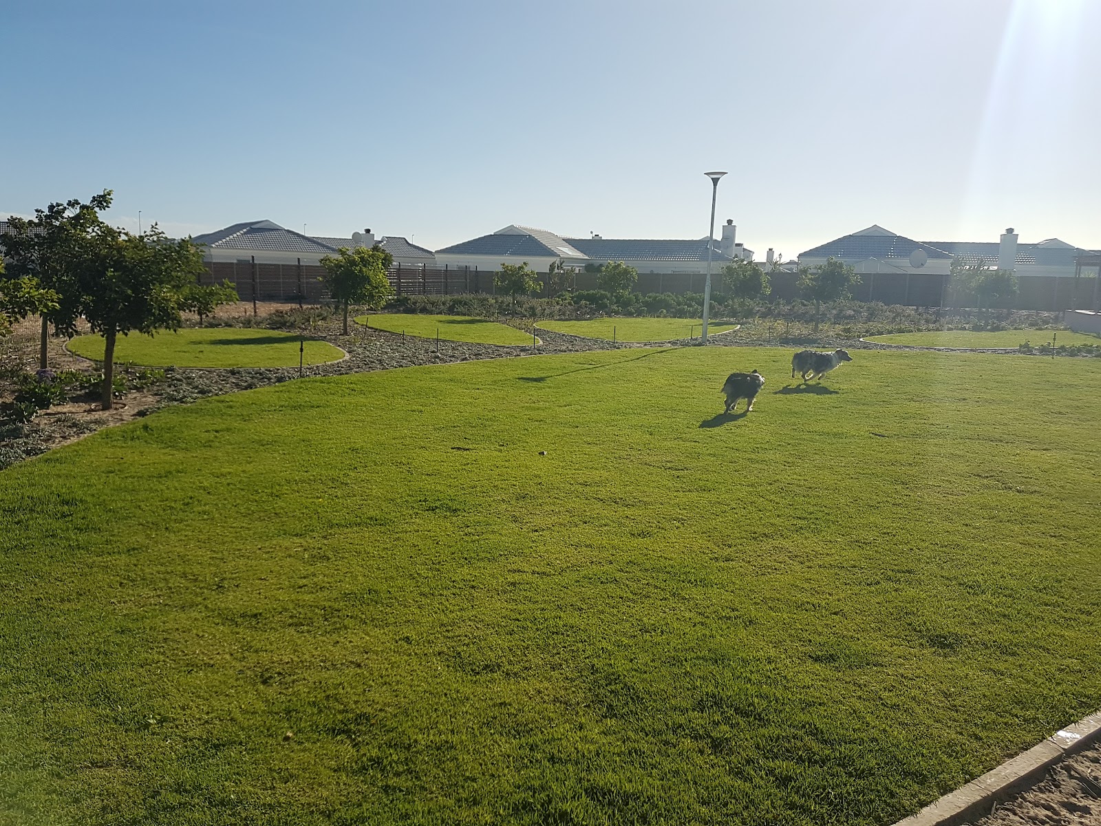 Leadville Dog Park