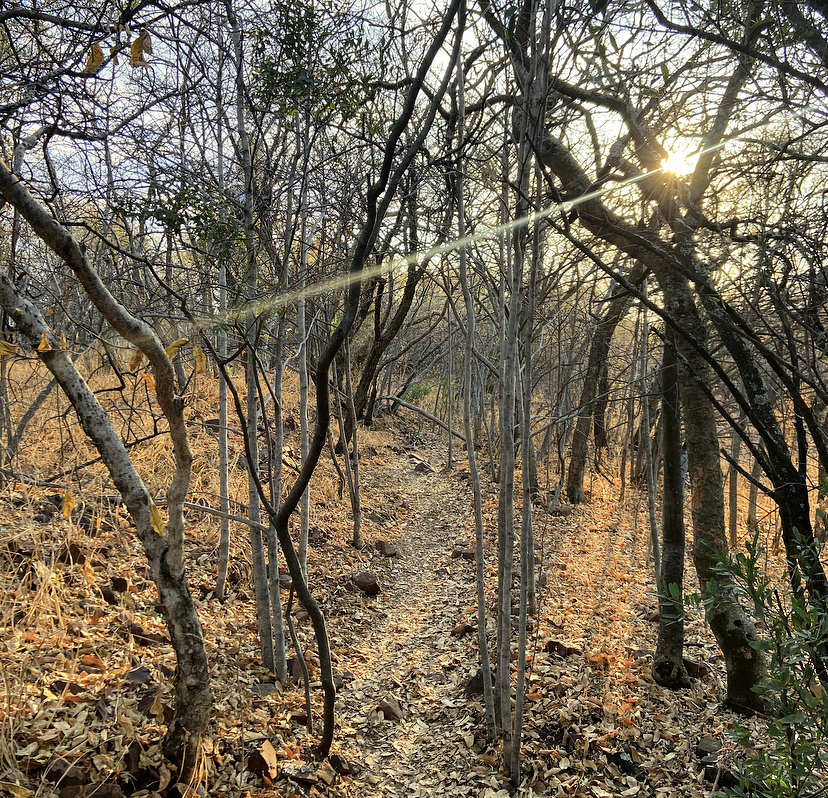 Kruin Park