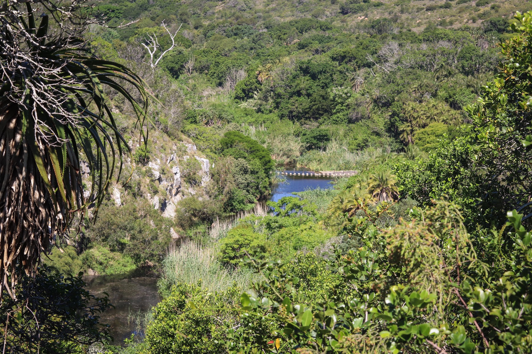 Lower Guinea-Fowl Trail