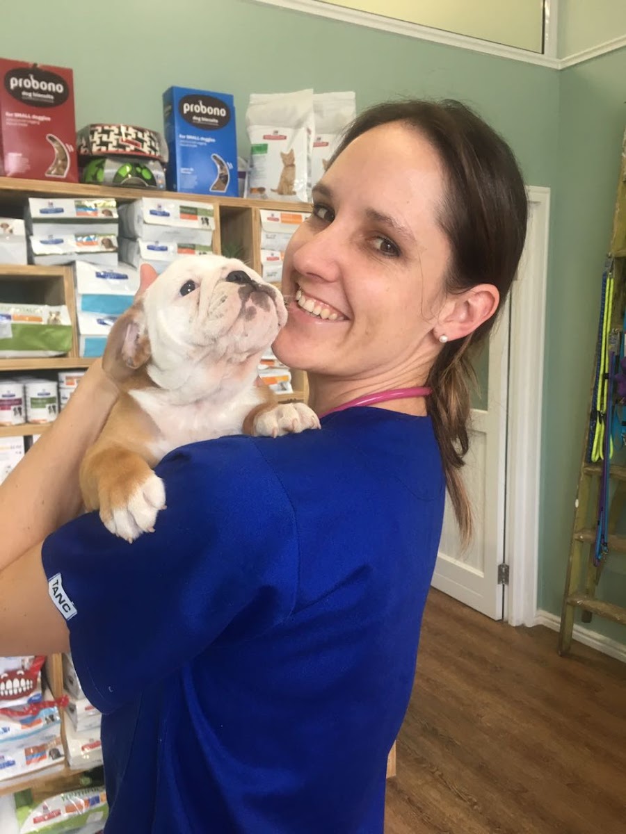 Village Vet Clinic Eastcliff