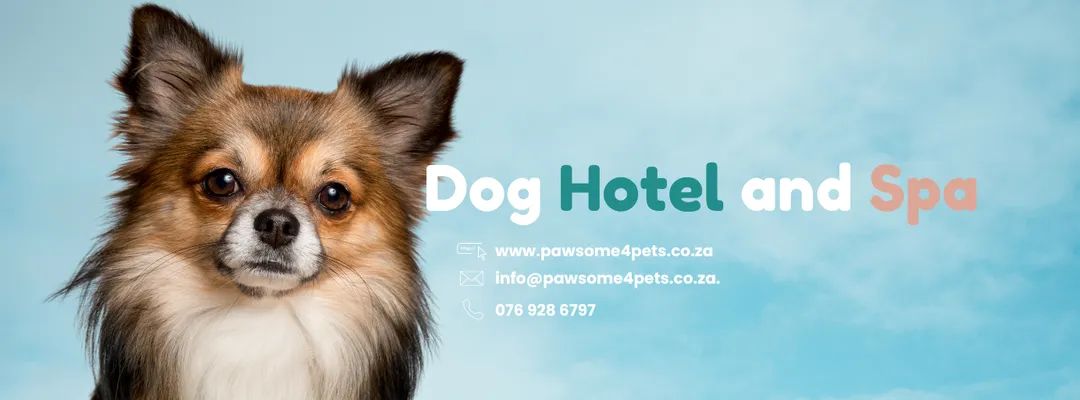 Pawsome 4 Pets - Dog Hotel and Spa (PTY) LTD