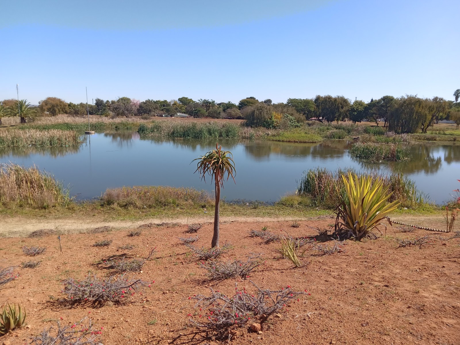Flora Park Dam