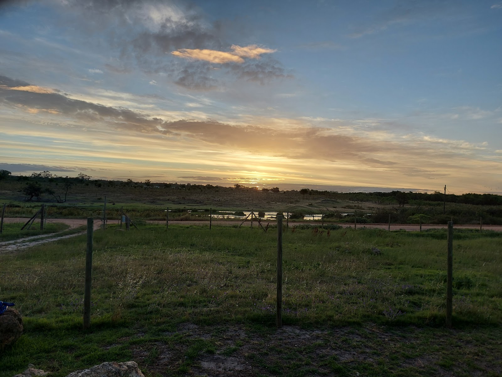 Sunshine Pet Resort