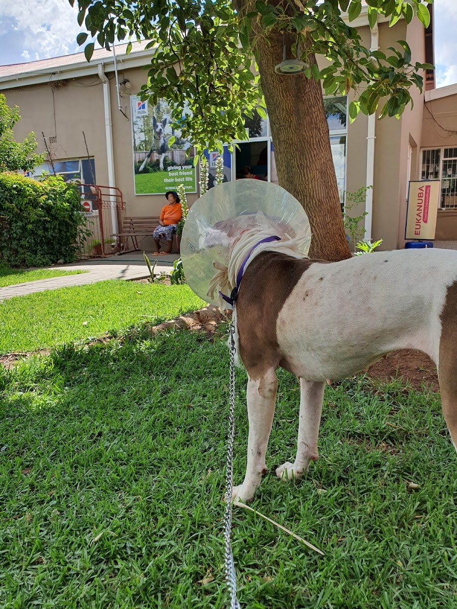 Belgravia Veterinary Clinic