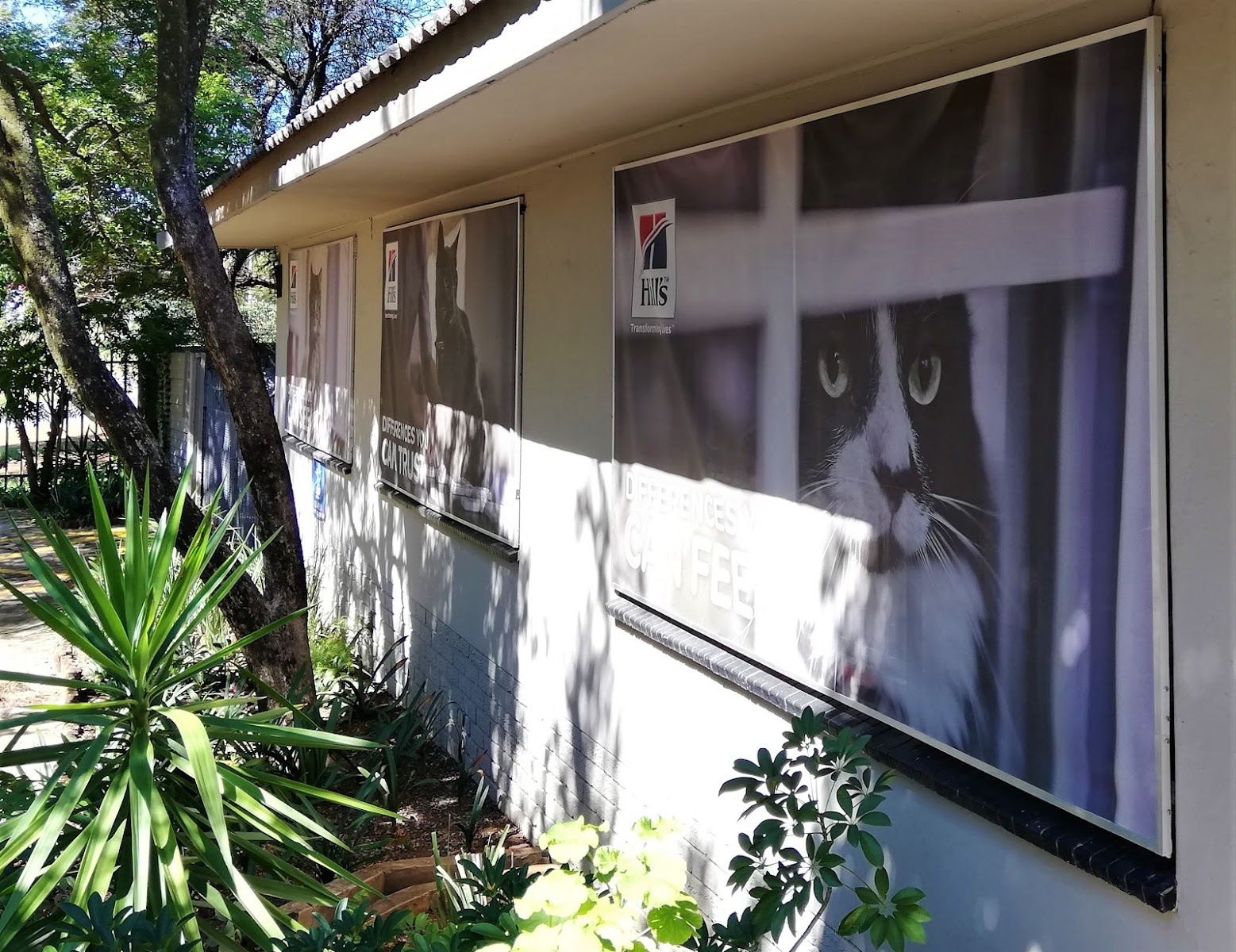 Glen Veterinary Clinic