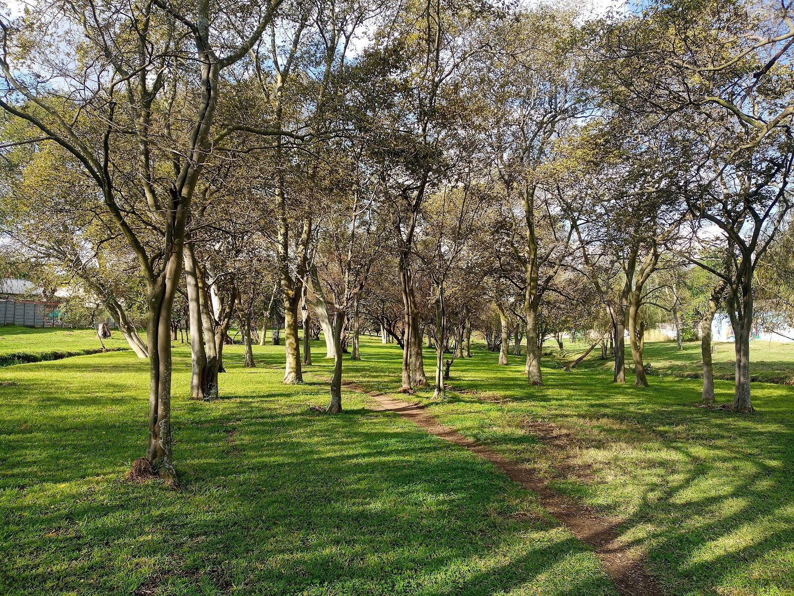 Hymany Park Trail