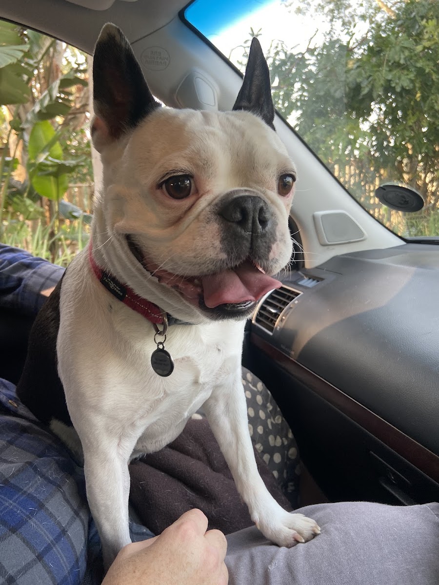 Hilton Veterinary Hospital
