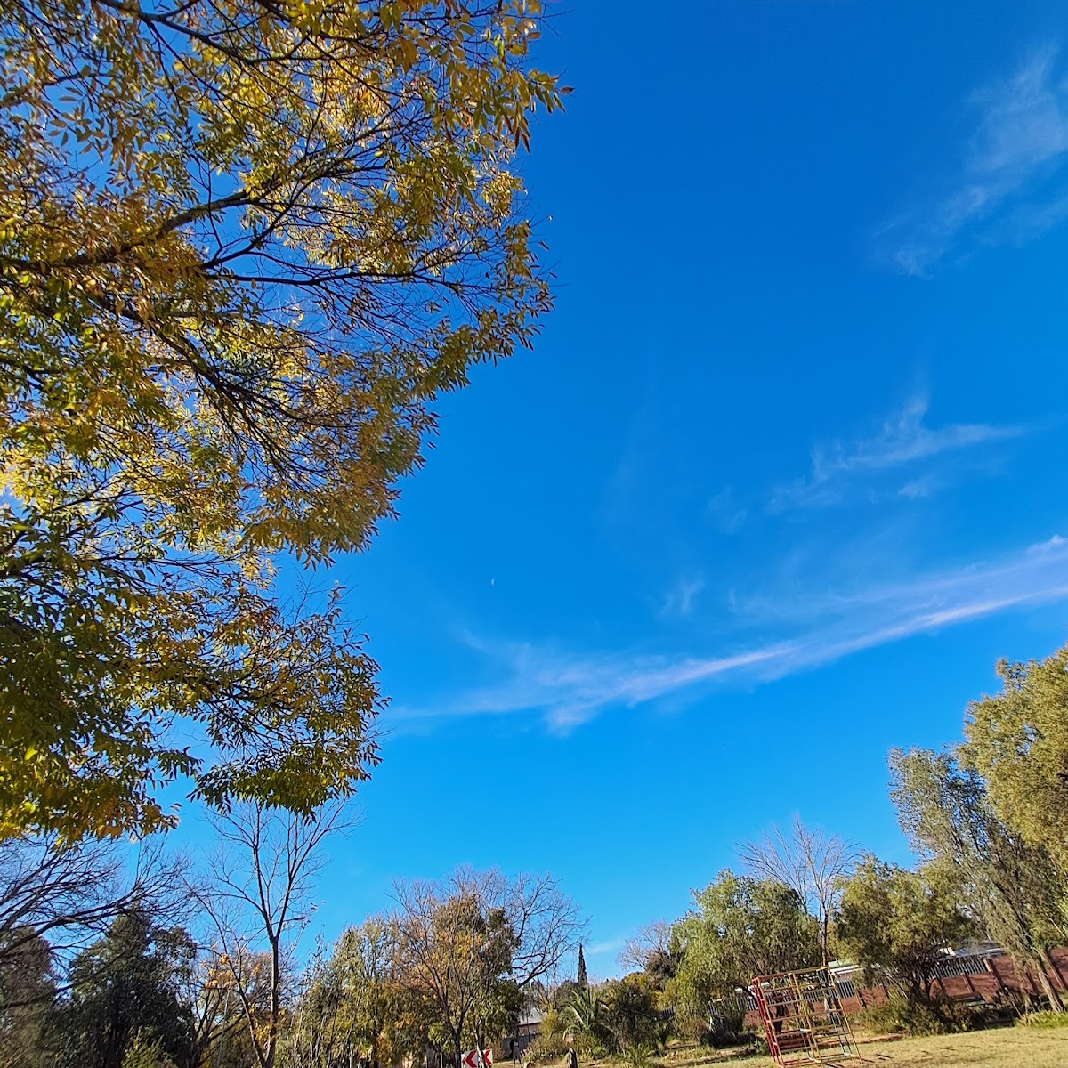 Universitas Public Park