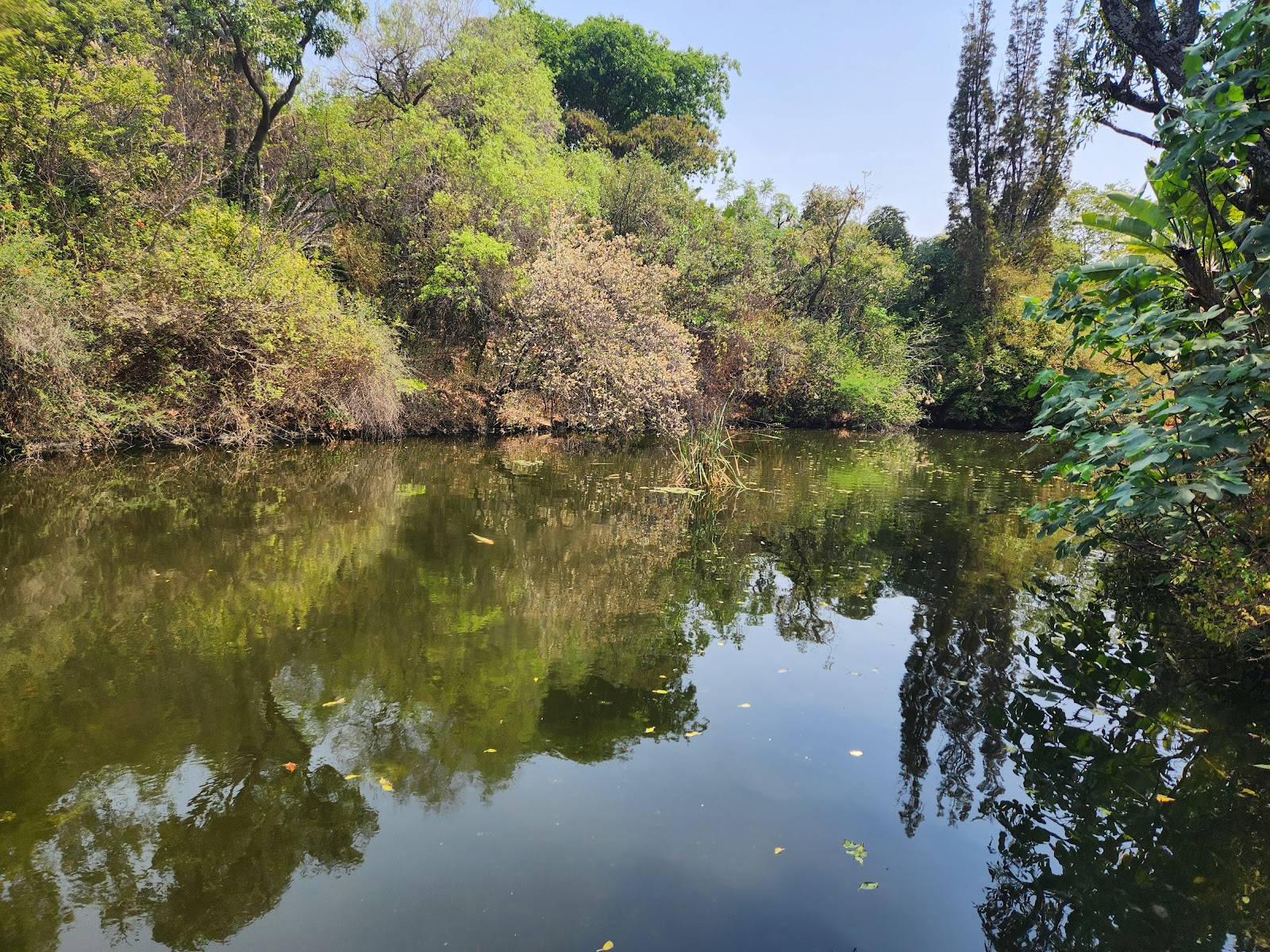 Jan Cilliers Park