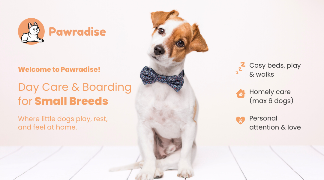 Pawradise Dog Day Care & Boarding