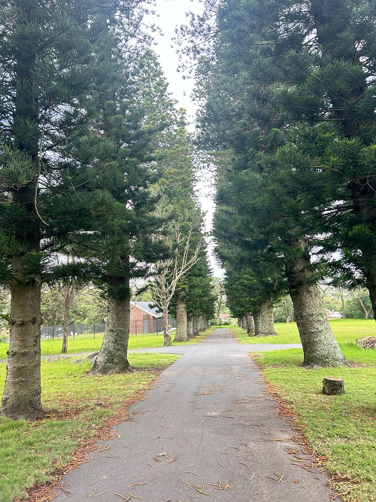 James Pearce Park