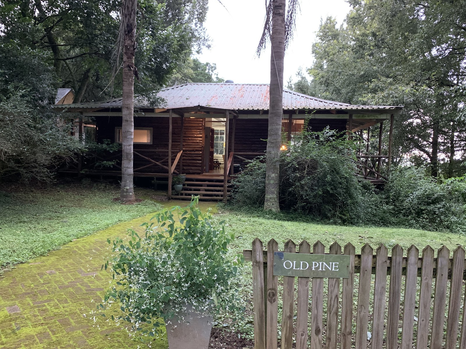 The Ridge Vet & Pet Spa