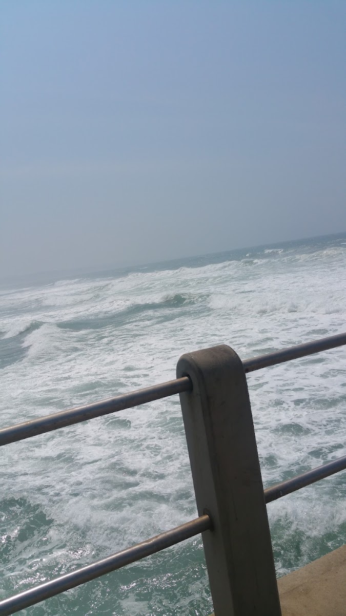 Dairy Beach