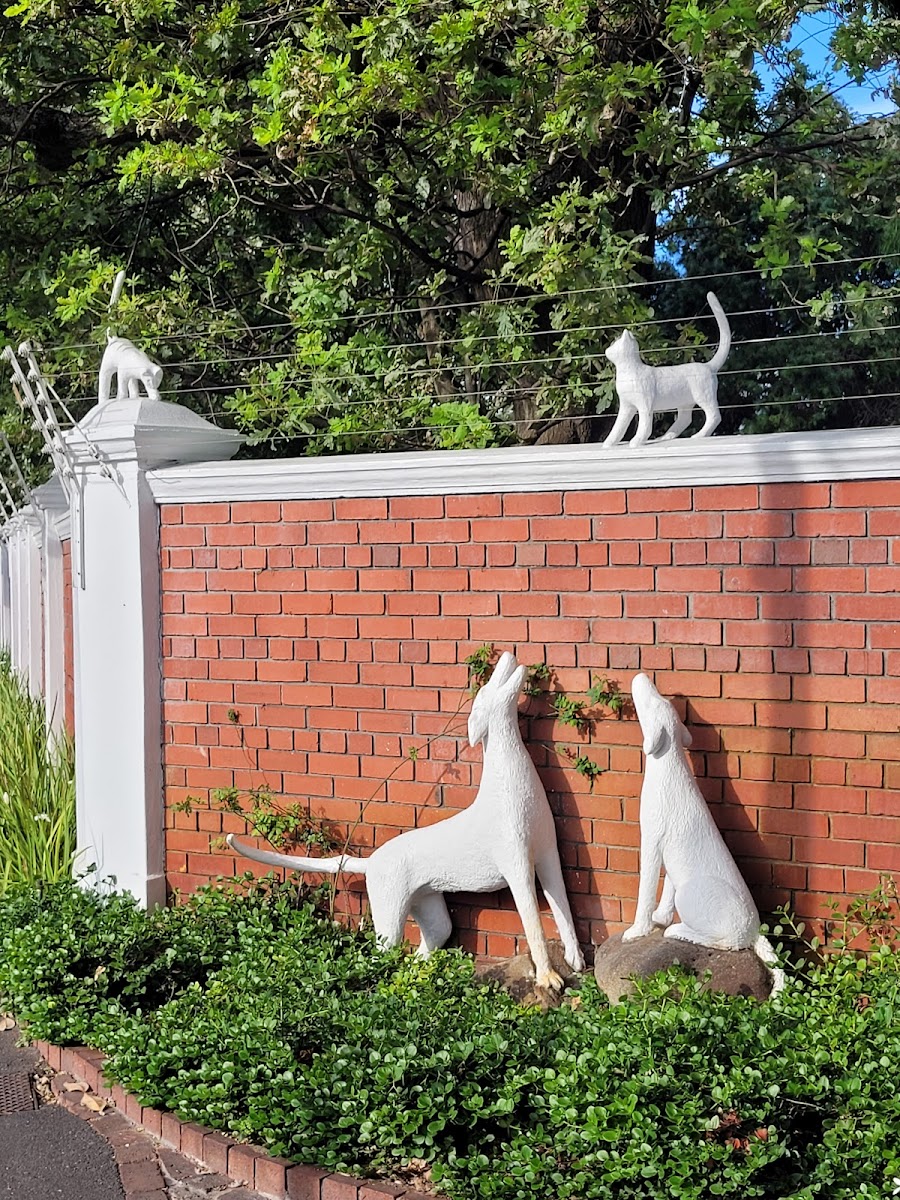 Rondebosch Veterinary Clinic