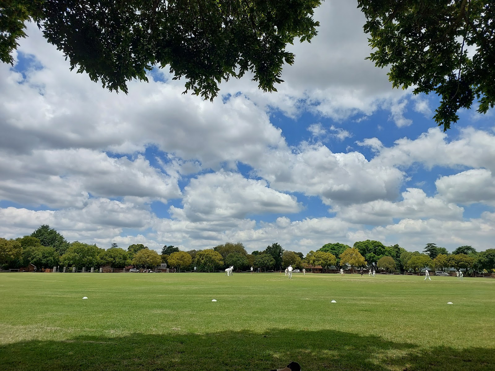 Irene Oval Cricket Ground
