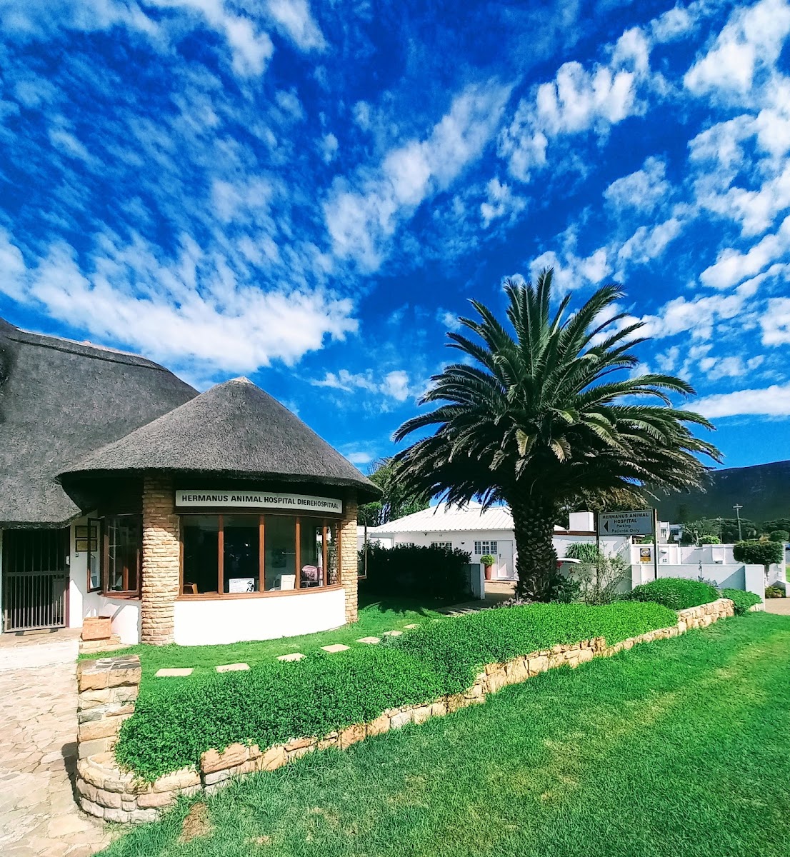 Hermanus Animal Hospital