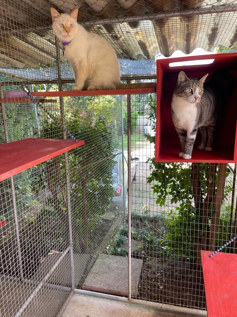 Ralun Pet Resort