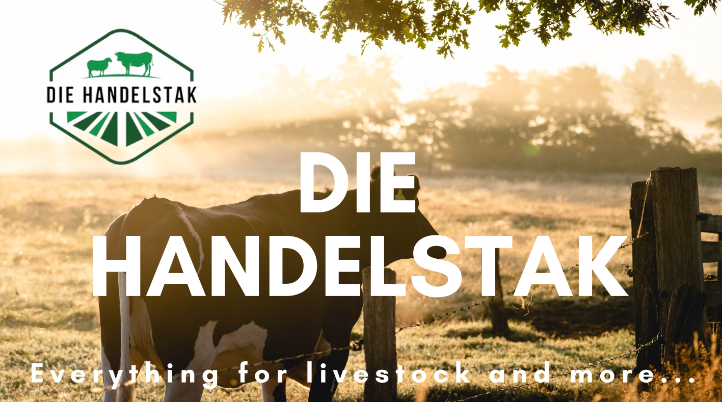 Die Handelstak KBY