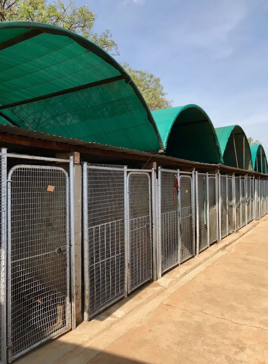 Wonderboom Kennels and Cattery.