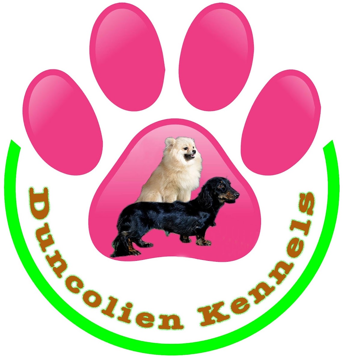 DUNCOLIEN KENNELS (Only Dachshund Breeder - Long & Short Coat)