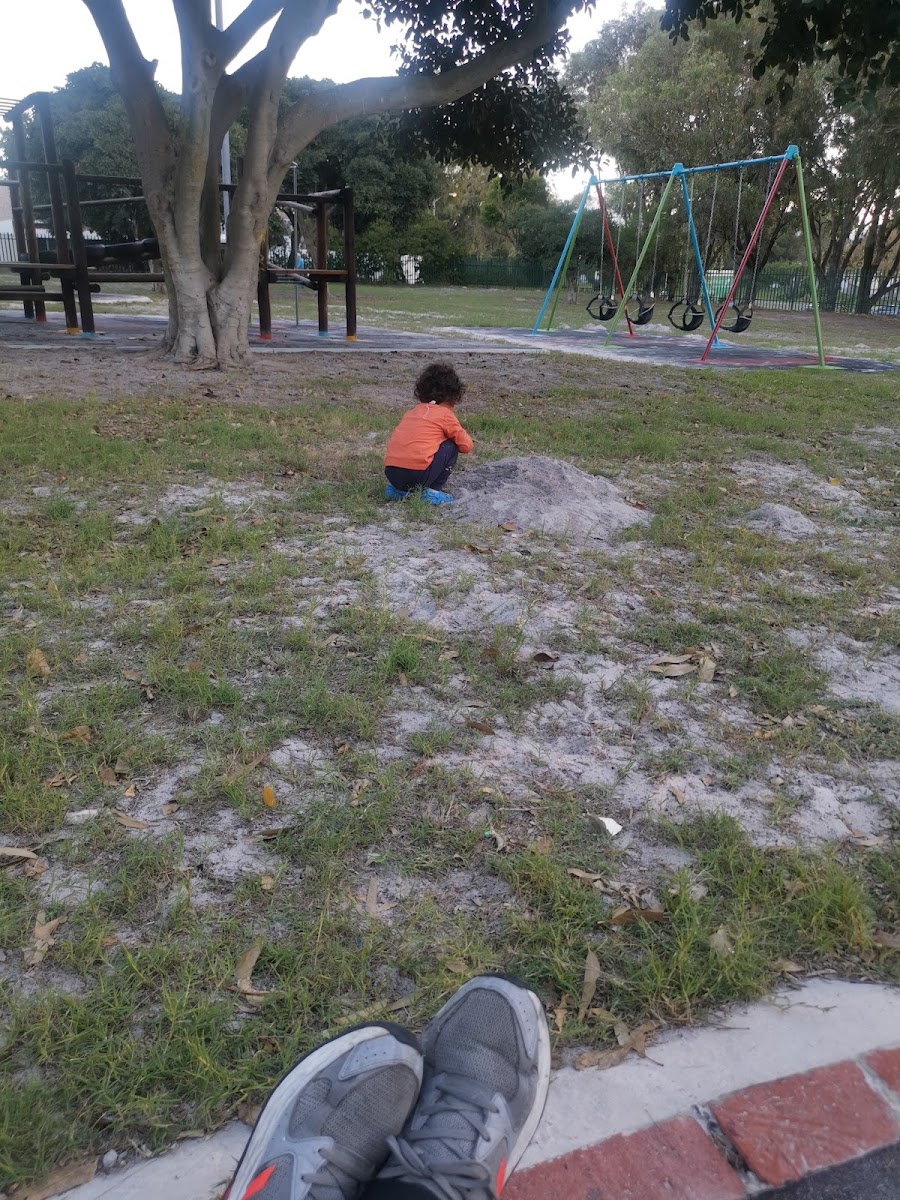 8th Avenue Park