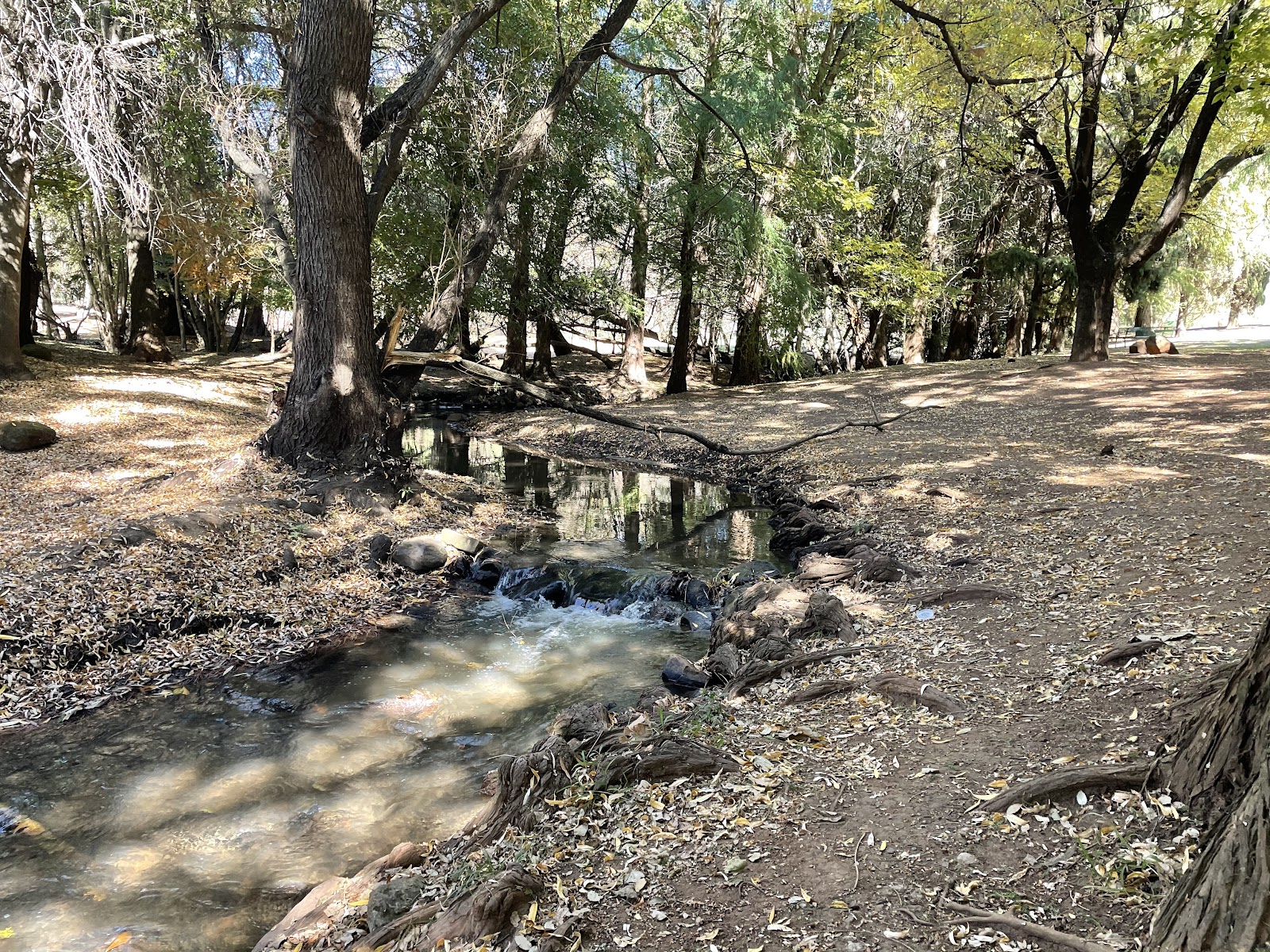 Emmarentia Park
