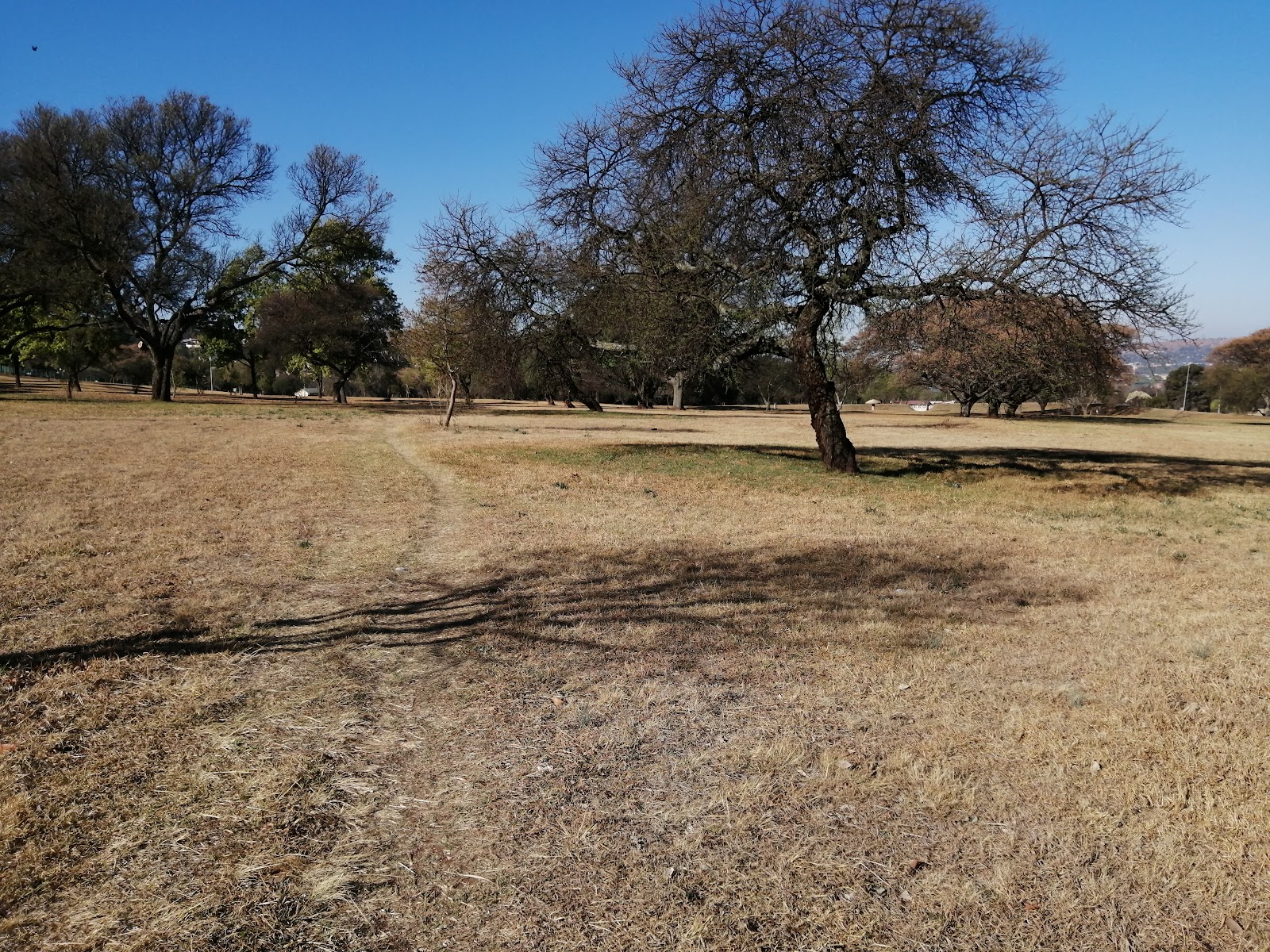 Bezuidenhout Park