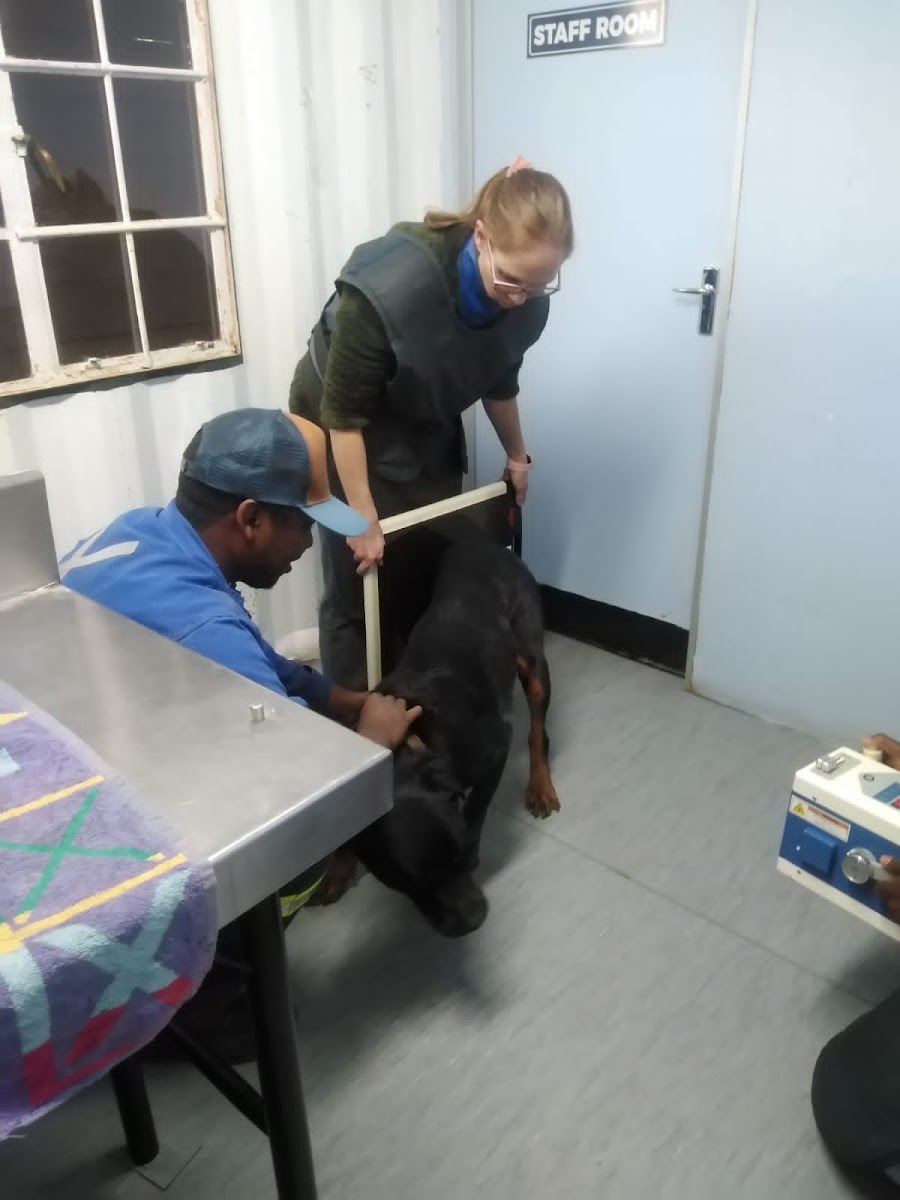 Petpassion Animal Care Clinic