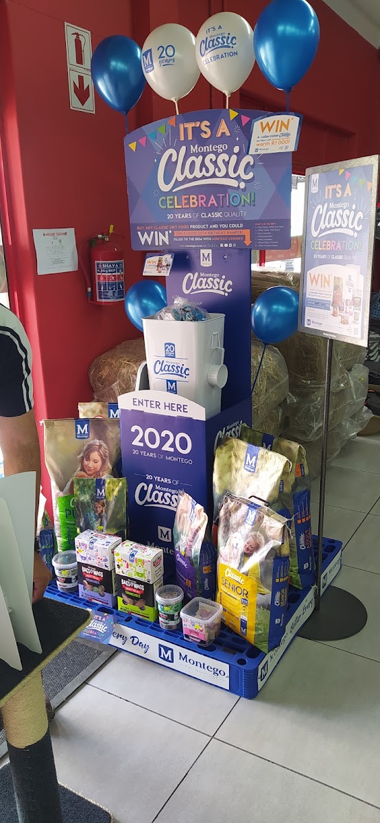 Cat Box Pet Hyper - Nelspruit