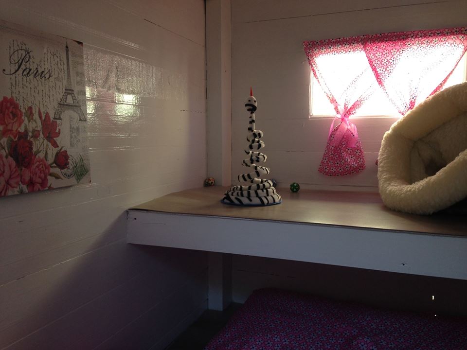 Karen's Kitty Kingdom