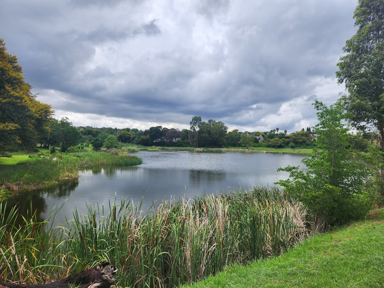 Willow Park Dowerglen