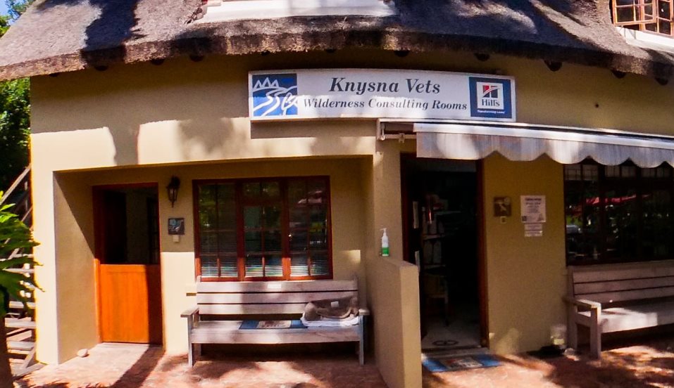 Knysna veterinary consulting rooms wilderness