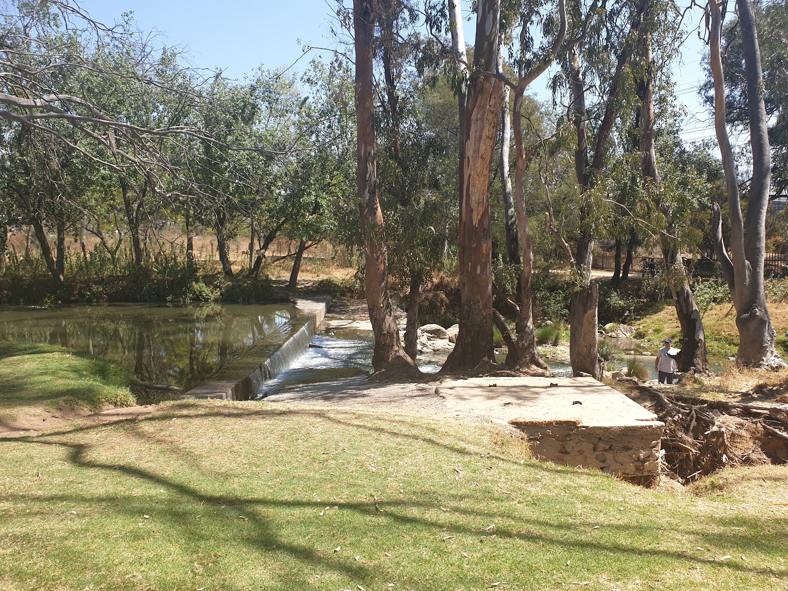 Field and Study open park