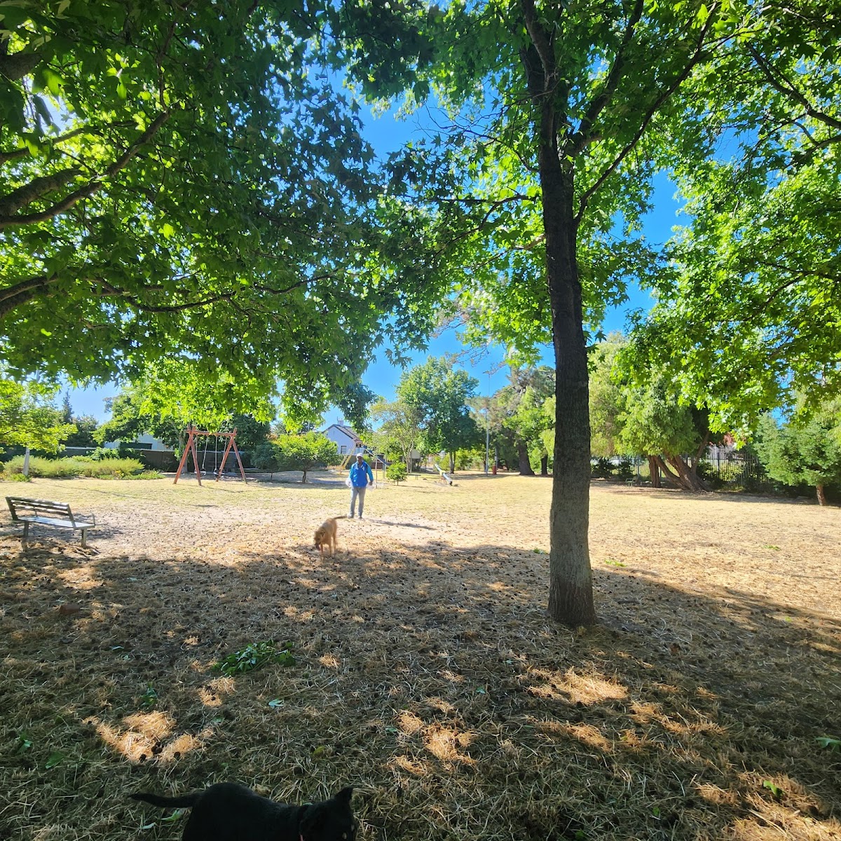 Surrey Park