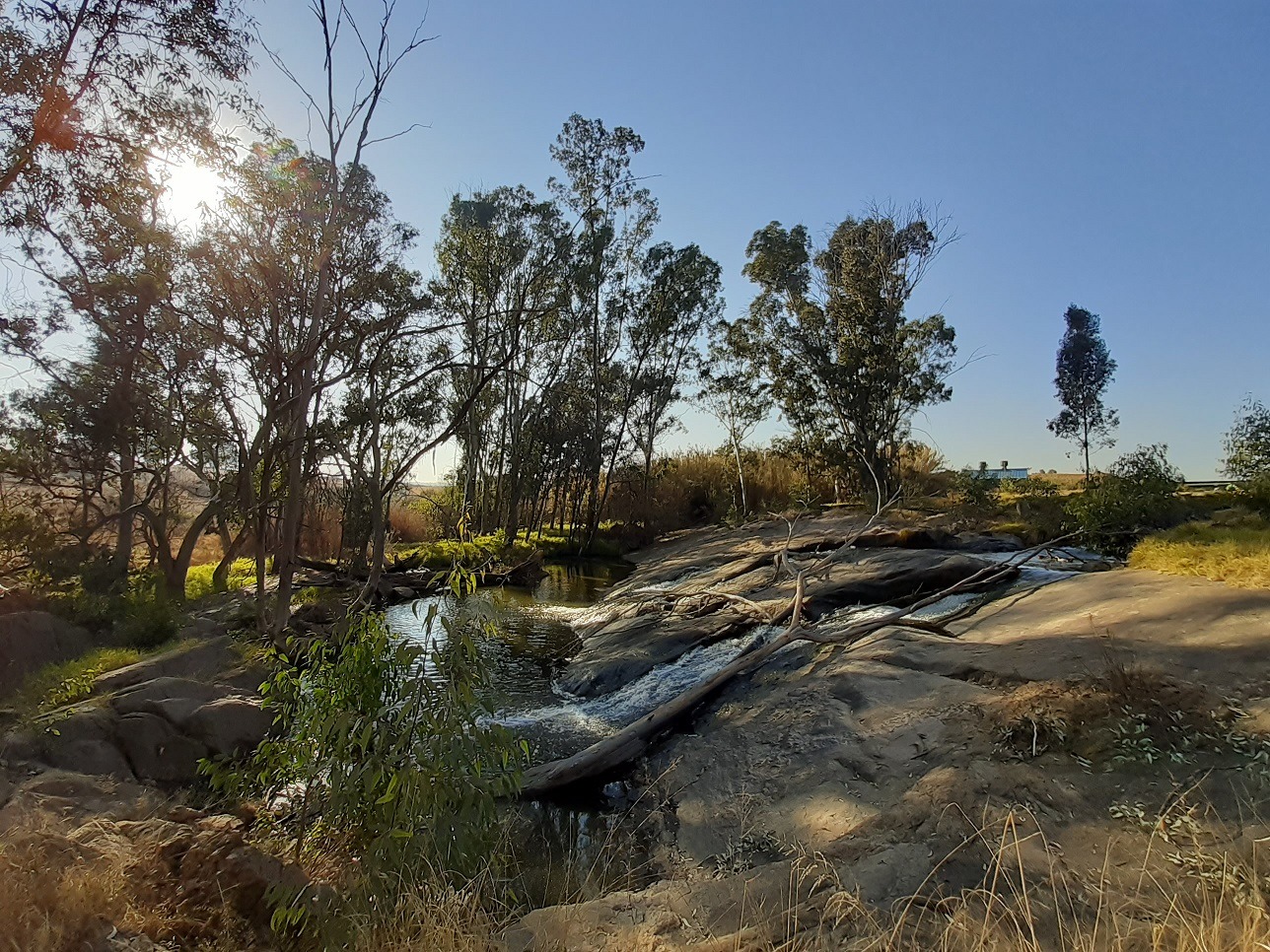 Modderfontein Reserve