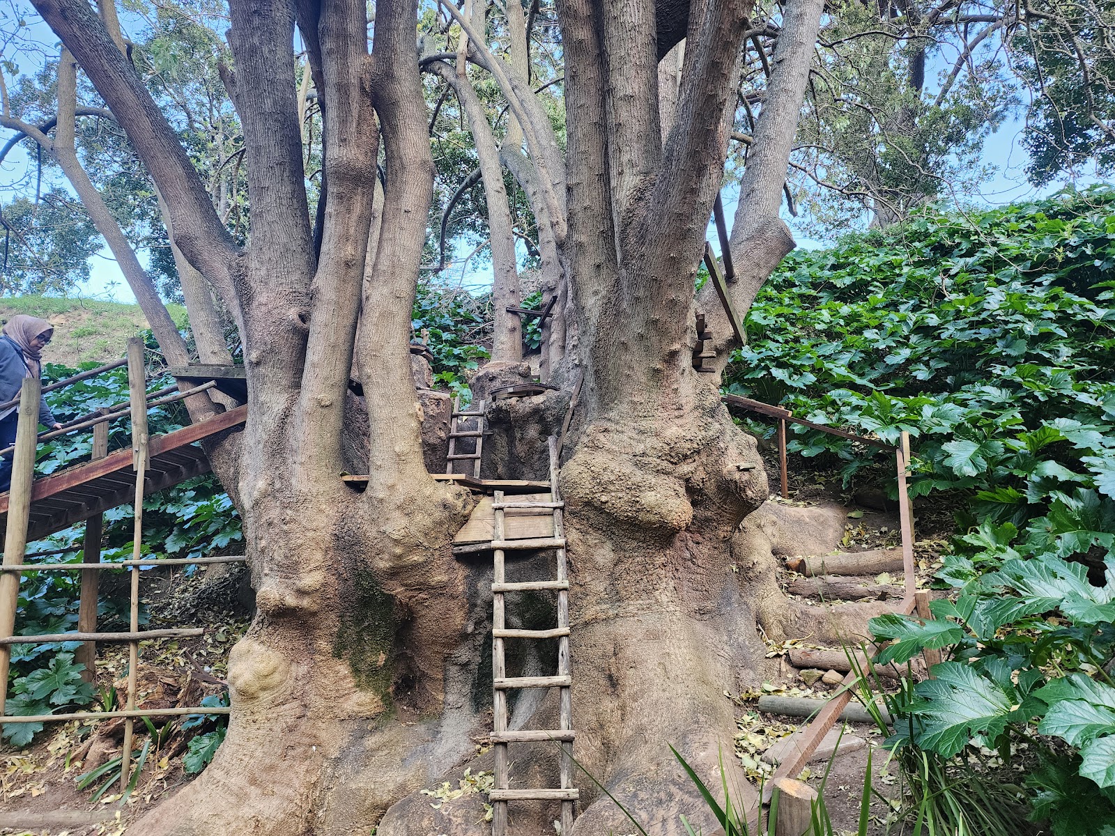 Paradise Park, Newlands