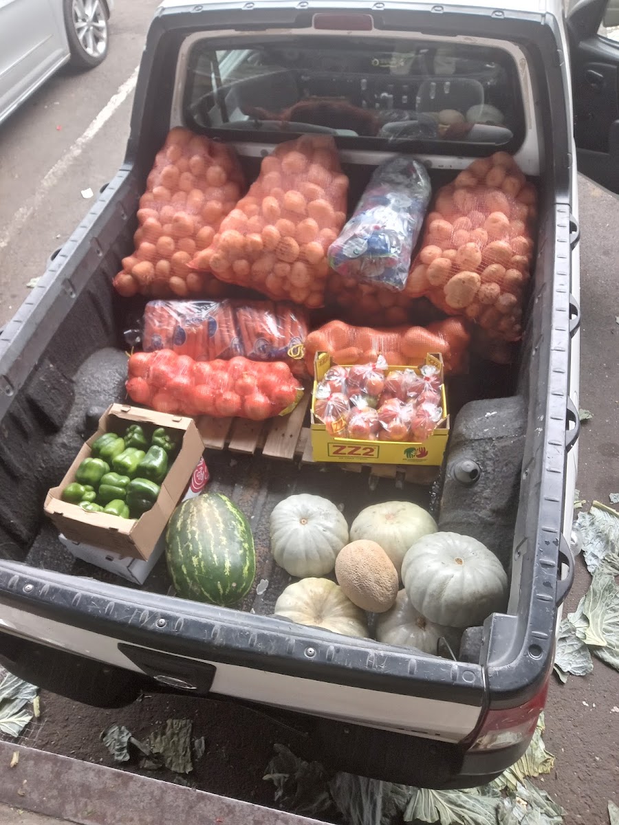 Subtropico Market Agents